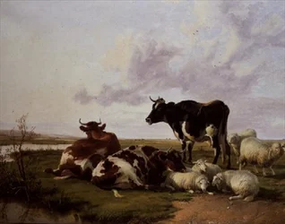 Bovini e pecore al pascolo