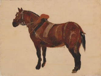 Studio di un cavallo da lavoro