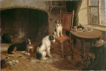 Interno con Cani