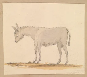 Studio di un asino, c.1820