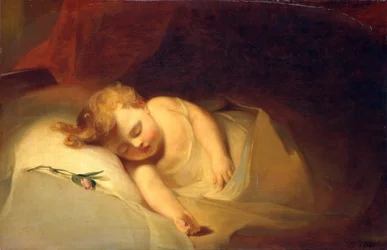 Bambino addormentato, Il bocciolo di rosa