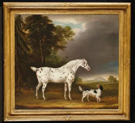 Cavallo Appaloosa e spaniel, 1807