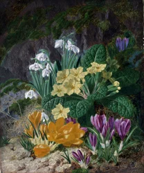 Fiori di primavera (tra cui crocus e primule). Dipinto di Thomas Worsey (1829-1875) Collezione privata.