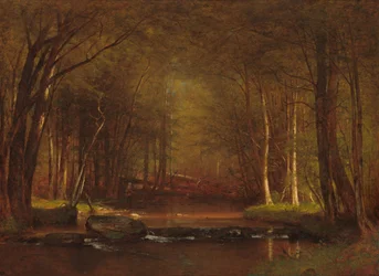 Il ruscello delle trote nelle Catskill