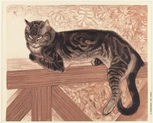 Estate: Gatto sulla balaustra