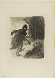 Il cantante della foresta