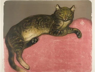 Inverno: Gatto su un cuscino