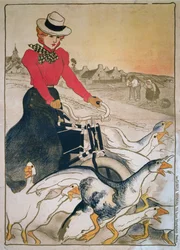 Donna su velocipede motorizzato e gruppo di oche