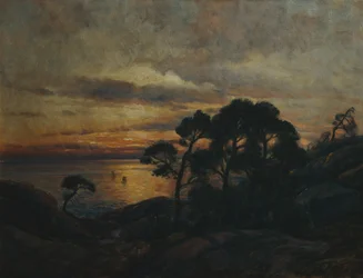 Pino al tramonto