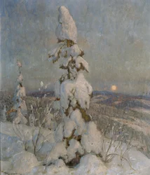 Abete coperto di neve al chiaro di luna