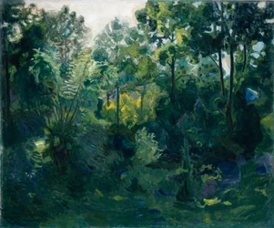 Interno della foresta