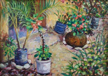 Piante in vaso africane, 2023