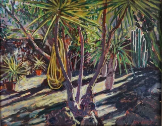 Giardino spagnolo di cactus, 2023