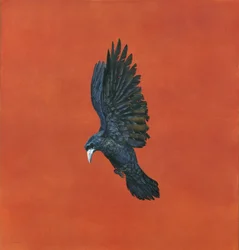 Splendore-Rosso