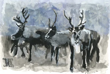 Tre renne in inverno