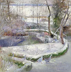 Ponte sul salice