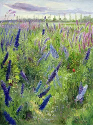 Delphinium e sole nascente