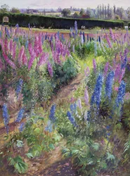 Delphiniums e Hoers, 1991
