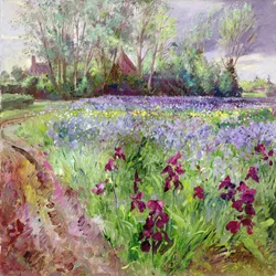Campo di iris, tempesta in arrivo