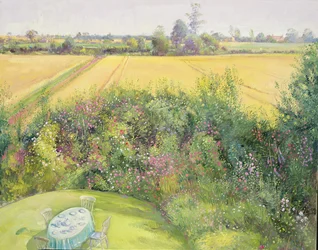 Rose e campo di grano