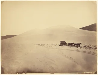 [Colline sabbiose nel deserto presso il Sink del Carson, Nevada]
