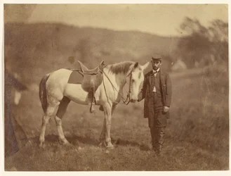 [Scout dell