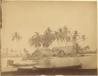 [Baia di Limón, Istmo di Darién (Panama)]