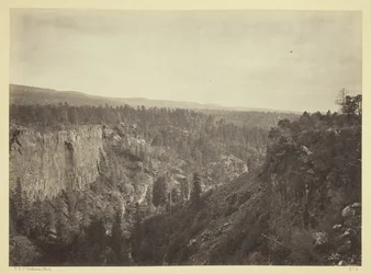 Cañon della forcella nord, torrente Sierra Blanca, Arizona