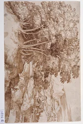 Paesaggio con alberi a sinistra e una città sullo sfondo