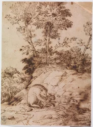 Un orso che mangia un coniglio