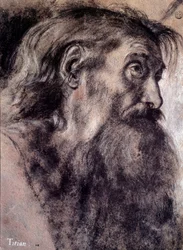 Testa di vecchio Disegno di Tiziano Vecellio detto Tiziano (1485-1576) XVI secolo Parigi, Museo del Louvre