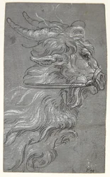 Testa di un caprone