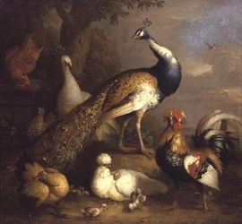 Pavone, pavoncella e pollame in un paesaggio