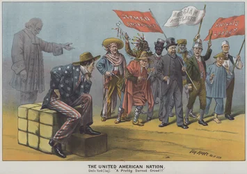 The United American Nation, satira sulla diversità degli immigrati nella società americana del XIX secolo (litografia a colori)