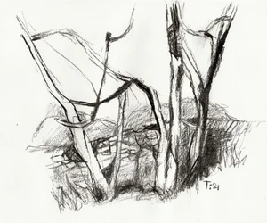 Schizzo della foresta spoglia