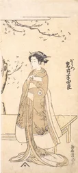 Il quarto Imai Hanshiro nel ruolo di O Hatsu in Sakaicho Soga Nendaiki, 2° mese, 1771