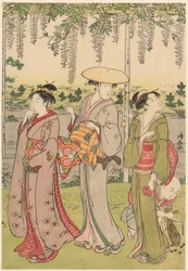 Ammirando il Glicine al Santuario di Kameido
