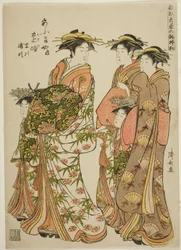 La cortigiana Toji dell