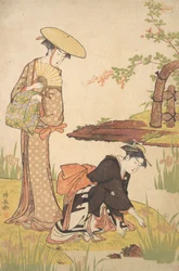 Il giardino degli iris