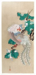 Giappone: rappresentazione di una fenice. Pittura su seta di Tosa Mitsuoki (1617-1691)