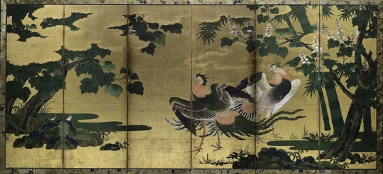 Fenici e Paulownia, fine 1500
