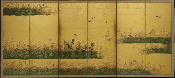 Fiori e insetti