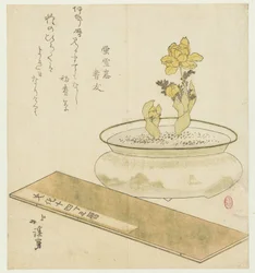 Pianta in vaso e almanacco