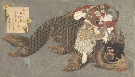 Shiei sul suo carpa
