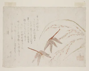 Libellule (stampa xilografica a colori)