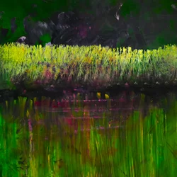 Palude - Notturno, 2017