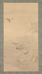 Falco che afferra un piccolo uccello, XIX secolo