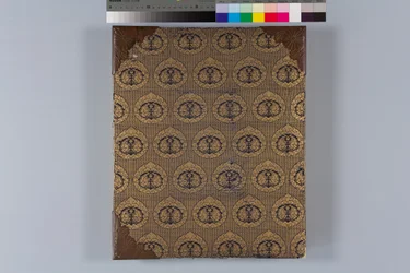 Album di falchi e calligrafia