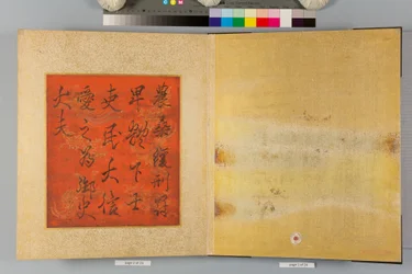 Album di falchi e calligrafia