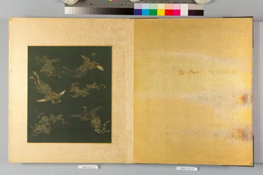 Album di falchi e calligrafia